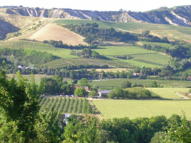 Agriturismo Il Gualdo Di Sotto Hotel Riolo Terme Esterno foto