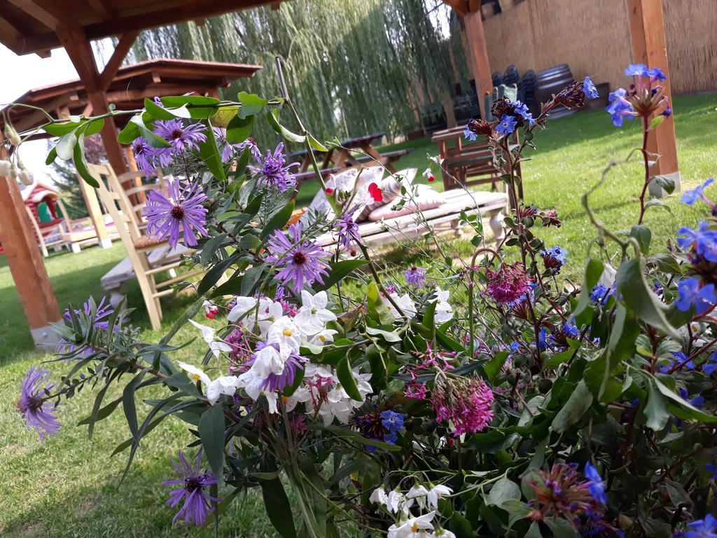 Agriturismo Il Gualdo Di Sotto Hotel Riolo Terme Esterno foto